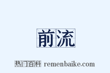 前流是什么意思的图片